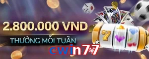 cwin77