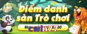 cwin77