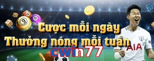 cwin77